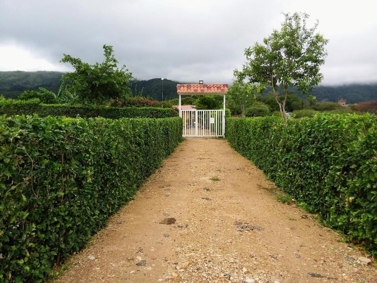לינה וארוחת בוקר C&H Casa Campestre El Oasis Ricaurte Girardot מראה חיצוני תמונה