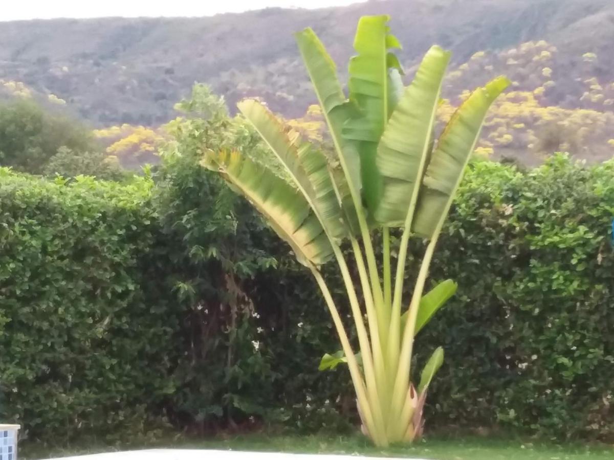 לינה וארוחת בוקר C&H Casa Campestre El Oasis Ricaurte Girardot מראה חיצוני תמונה